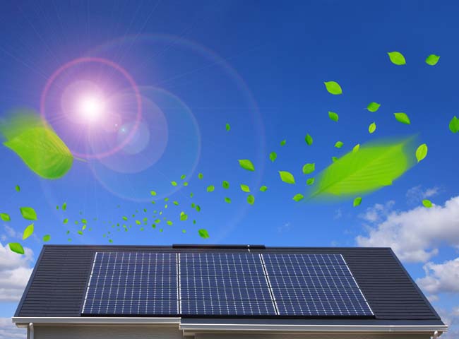 太陽光パネルが電気を発電する